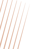 Bottom Decoration