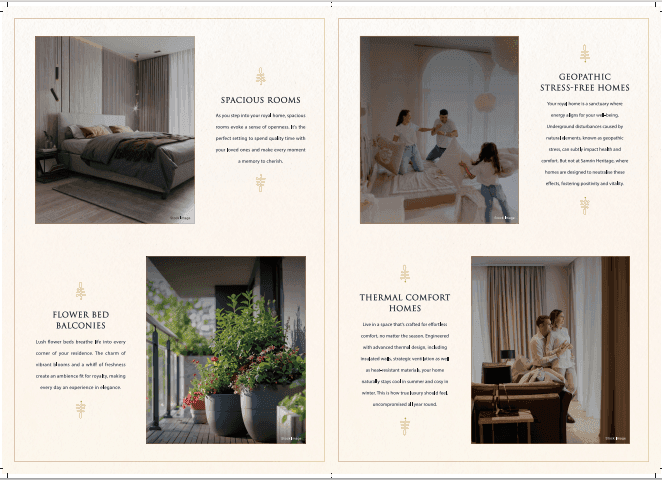 Project Overview